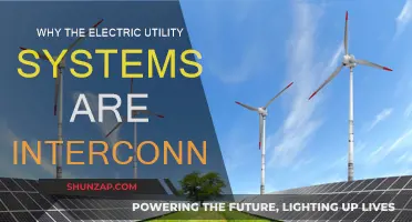 Electric Utility Systems: Interconnected for Reliability and Resilience