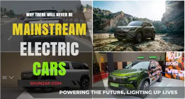 Electric Cars: Why Mainstream Adoption Remains an Elusive Dream