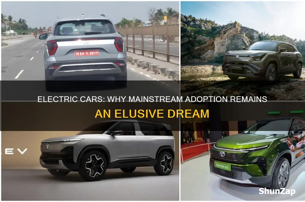 why there will never be mainstream electric cars