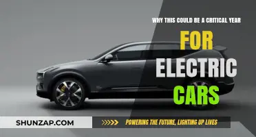 2023: A Pivotal Year for Electric Vehicles and Their Future