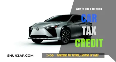 Maximize Savings: Why Electric Car Tax Credits Are a Smart Buy