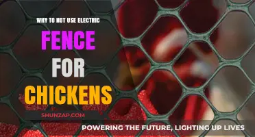 Avoid Electric Fences: Safer Alternatives for Protecting Your Chickens