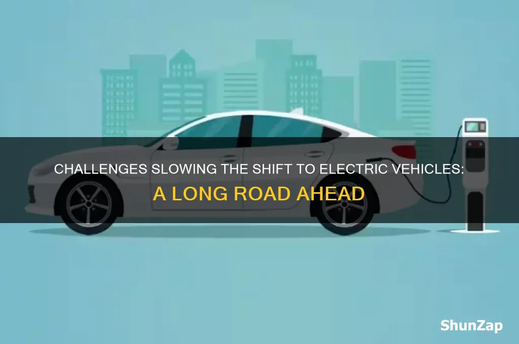 why transition to electric cars will take long time