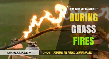 Electricity and Grass Fires: A Dangerous Mix