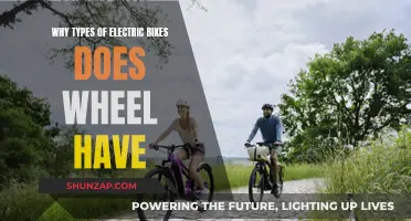 Electric Bike Options: Wheel's E-Bike Variety Explained