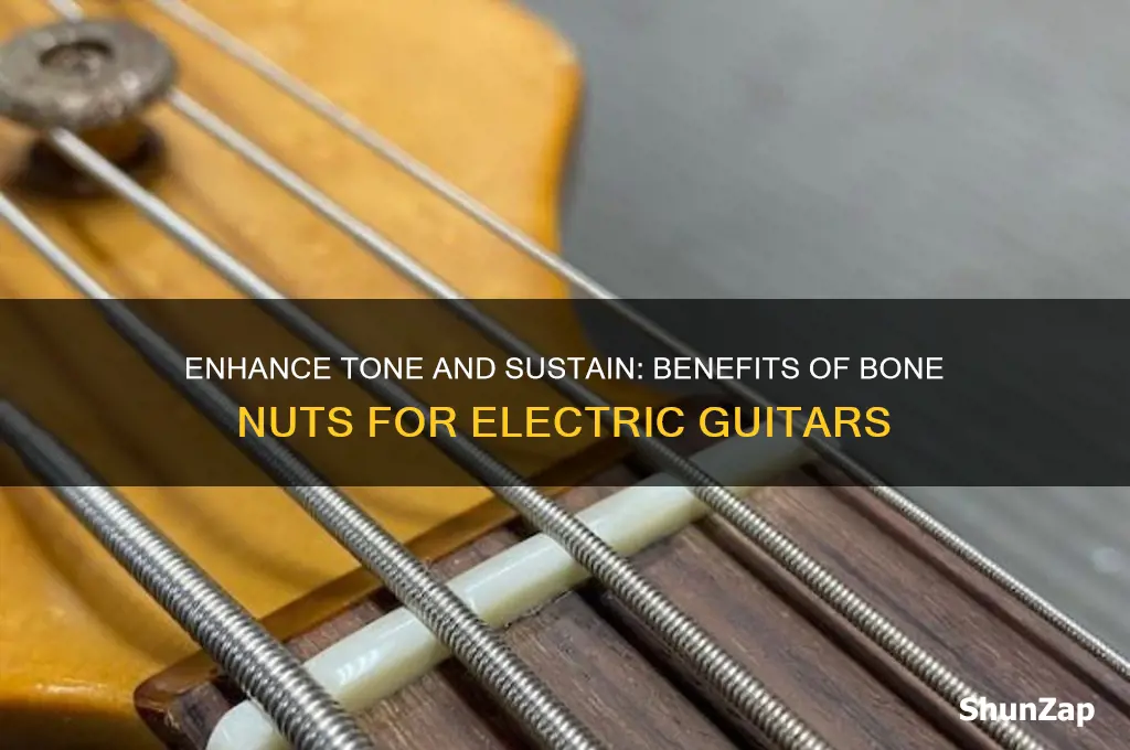 why use a bone nut on an electric guitar