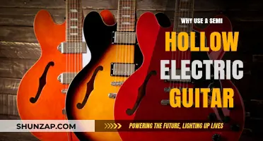 Semi-Hollow Electric Guitars: Versatility, Tone, and Why They Shine