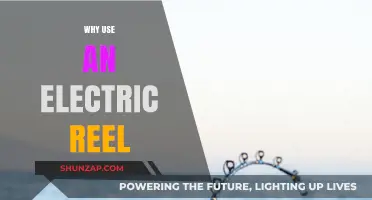 Electric Reels: Revolutionizing Fishing Efficiency and Comfort on the Water