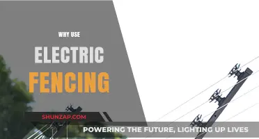 Secure Your Property: Benefits of Electric Fencing for Safety and Efficiency
