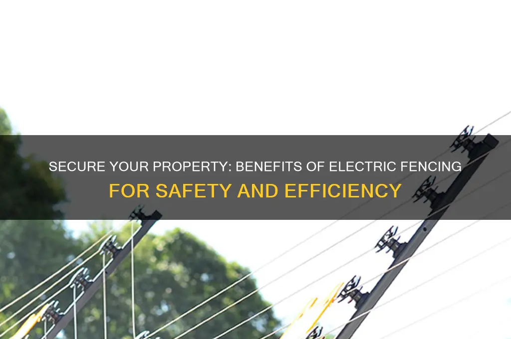 why use electric fencing