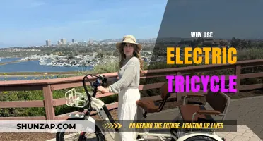 Eco-Friendly Commuting: Benefits of Choosing Electric Tricycles Today