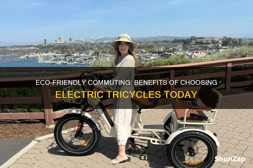 why use electric tricycle