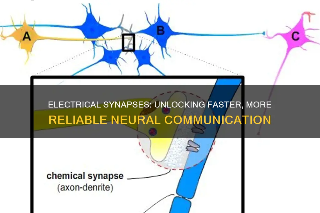 why use electrical synapse