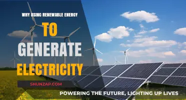 Sustainable Power: Why Renewable Energy is the Future of Electricity