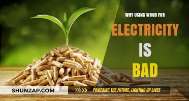 Wood for Electricity: Environmental and Economic Downsides Explained