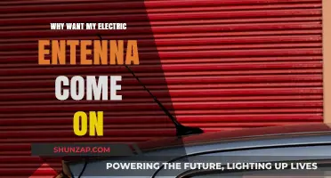 Electric Antennas: Why Won't They Turn On?