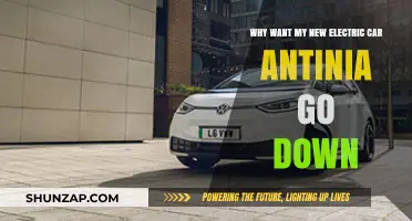 Why Won't My New Electric Car's Battery Drain Overnight?