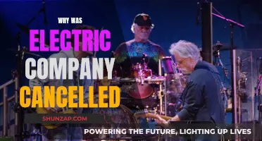 Electric Company's Abrupt Cancellation: What Went Wrong?