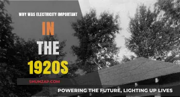 Electricity in the Roaring Twenties: Powering a Decade of Change