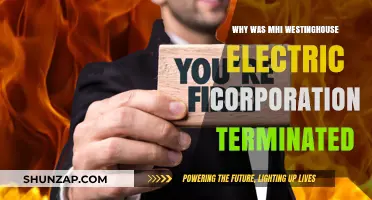 Westinghouse Electric Corporation: Terminated, But Why?