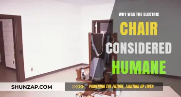 The Electric Chair: A Humane Execution Method?