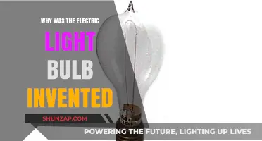 The Electric Light Bulb: A History of Innovation