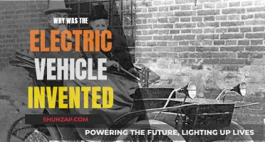 Electric Vehicles: Past, Present, and Future