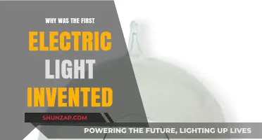 The Electric Light's Illuminating History