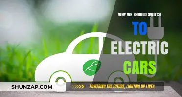 Switch to Electric Cars: Save Money, Environment, and Future Generations