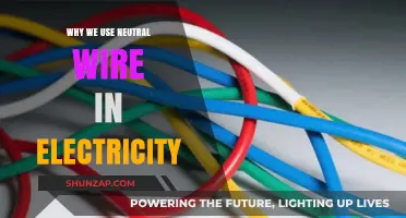 Why Neutral Wires Are Essential in Electrical Circuits