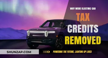 Electric Car Tax Credits Removed: Reasons Behind the Policy Shift
