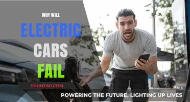 Electric Cars: Why They Might Not Dominate the Future of Transportation