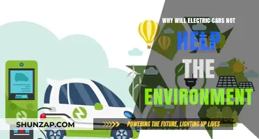 Electric Cars' Environmental Impact: Uncovering the Hidden Ecological Costs