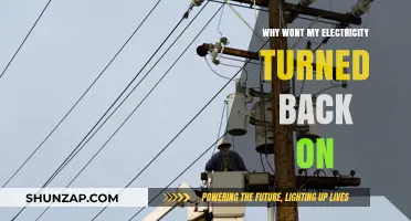 Electricity Woes: Troubleshooting a Power Outage