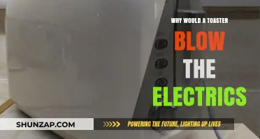 Toaster Troubles: Blown Electrics Explained