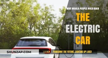 Why Are Electric Cars Being Held Back by Consumers?