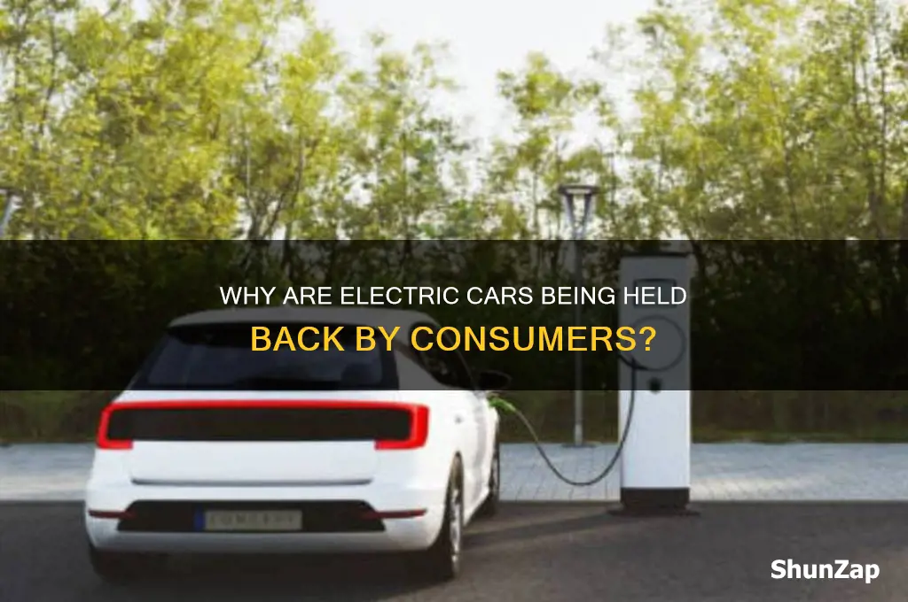 why would people hold back the electric car