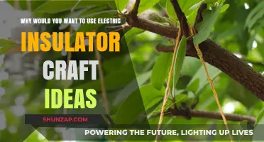 Creative Electric Insulator Crafts: Innovative Ideas for Functional Art Projects