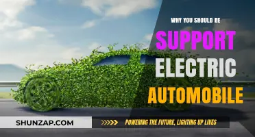 Electric Vehicles: Sustainable, Efficient, and the Future