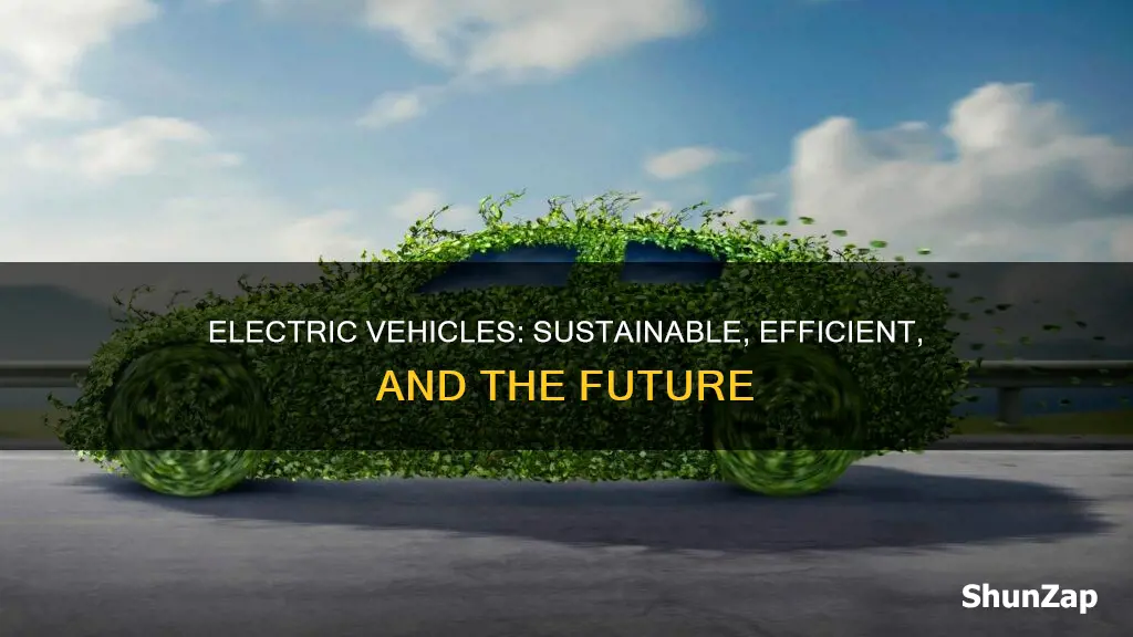 why you should be support electric automobile