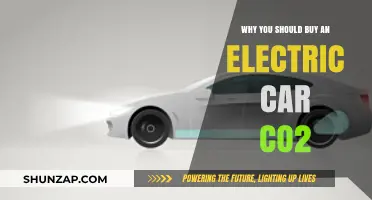 Electric Cars: Cutting CO2 Emissions for a Greener Future