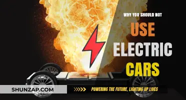 Electric Cars: Hidden Costs and Environmental Myths Exposed