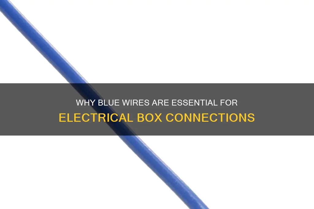 why you use blue wires for electrical box