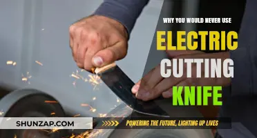 Why Electric Cutting Knives Fall Short in Modern Kitchens