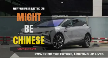 Chinese Electric Cars: Your First Eco-Friendly Ride Explained