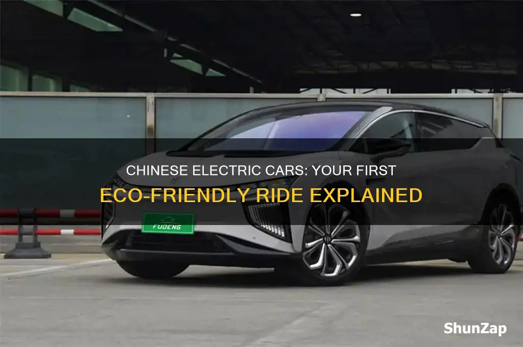 why your first electric car might be chinese