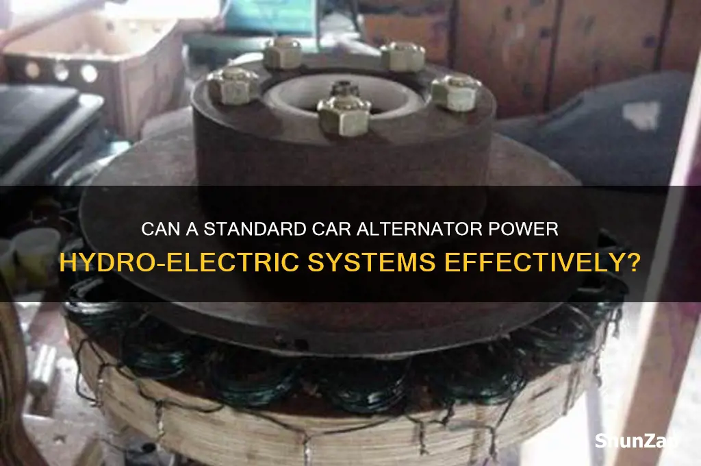 will a regular car alternator work for hydro electric