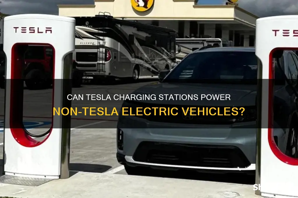 will a telsa charging dtation charge other electric cars