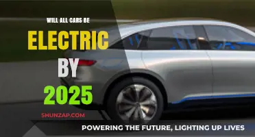 Electric Vehicles Dominance: Will All Cars Go Electric by 2025?