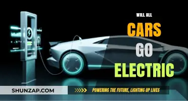 The Future of Driving: Will All Cars Go Electric?